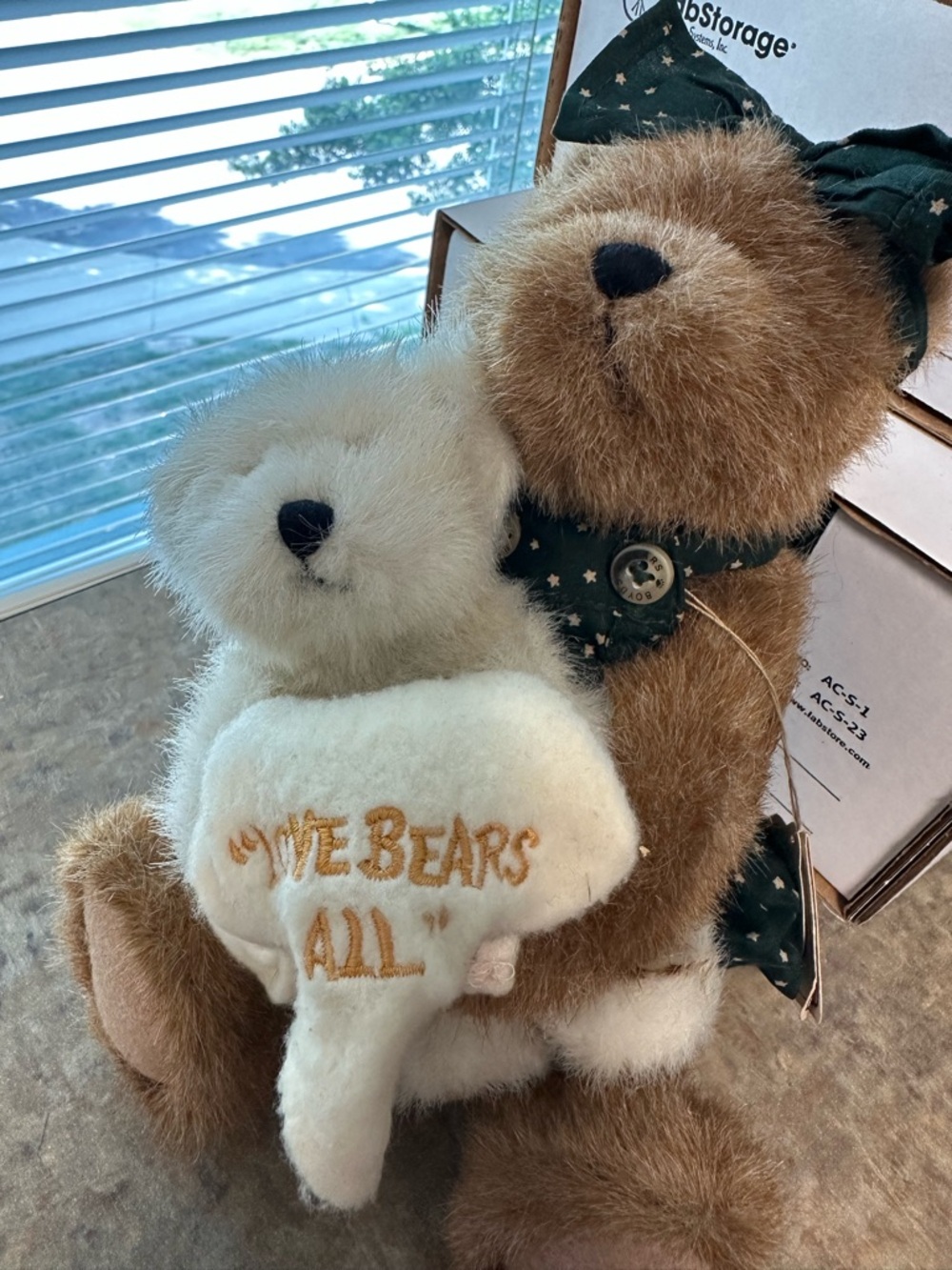 Boyds Bears Momma Bearsley and Baby Jack - Picture 2 of 5